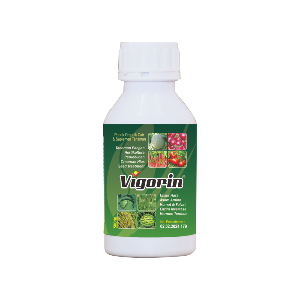 Vigorin