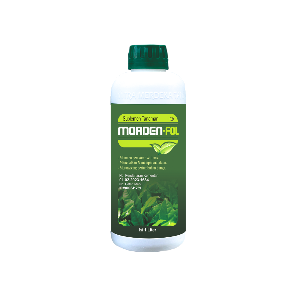 Mordenfol